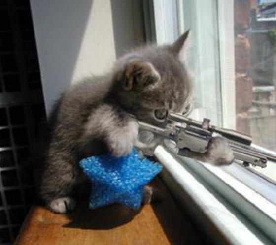 sniperkitty0gr.jpg