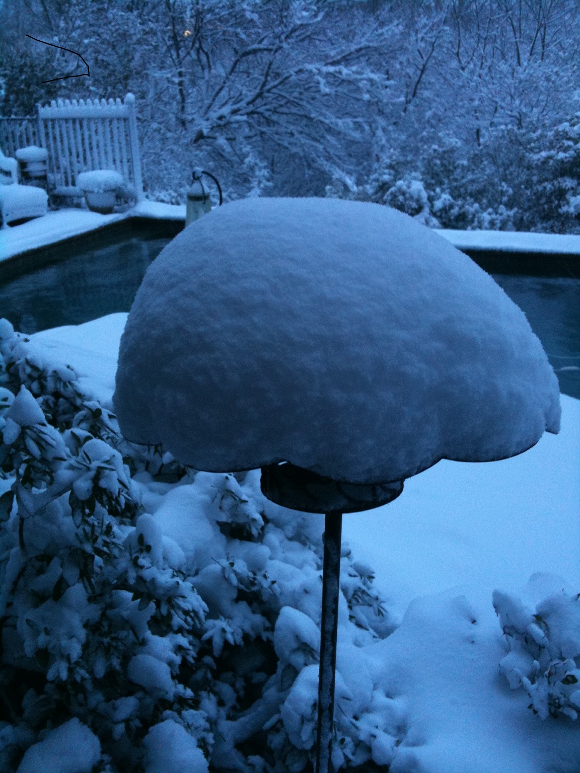 snow.jpg