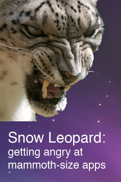 Snow Leopard.jpg