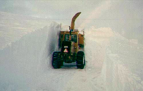 snow1.jpg