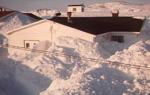 snow2.jpg