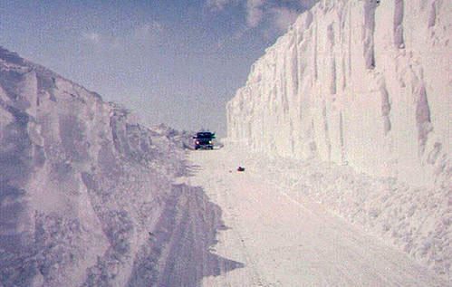 snow3.jpg