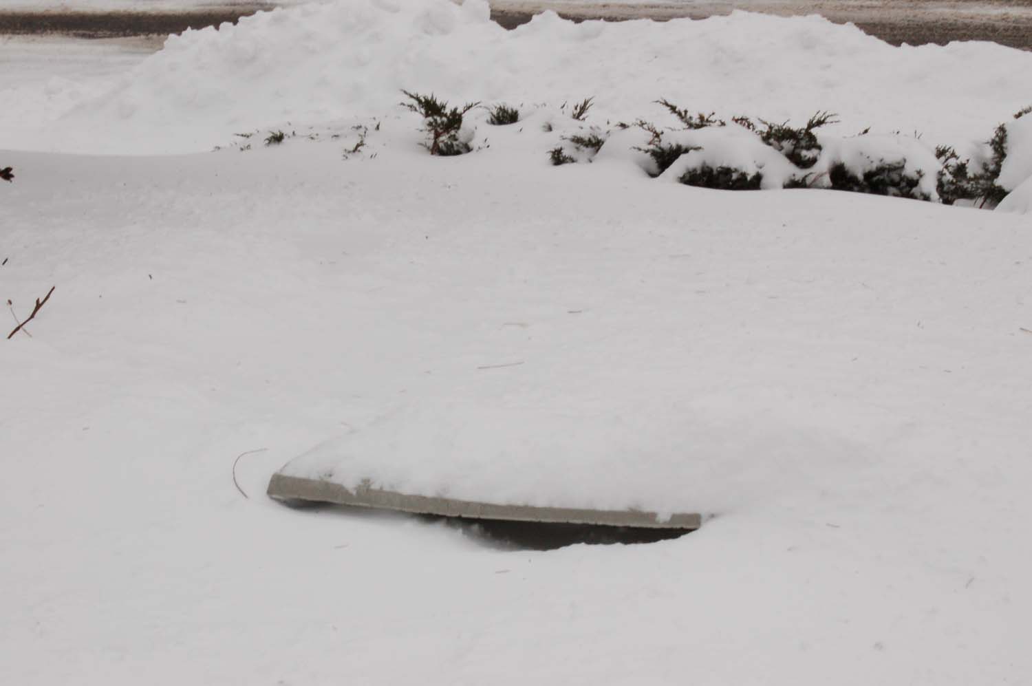 snow3.JPG