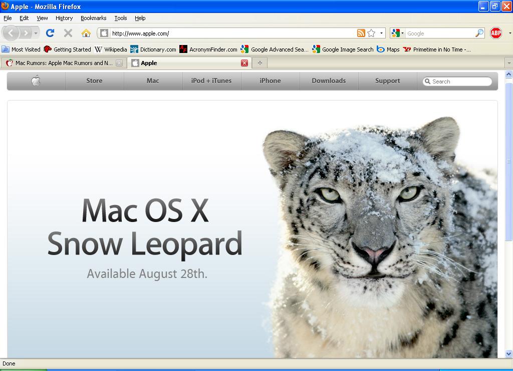 snow_leopard.JPG
