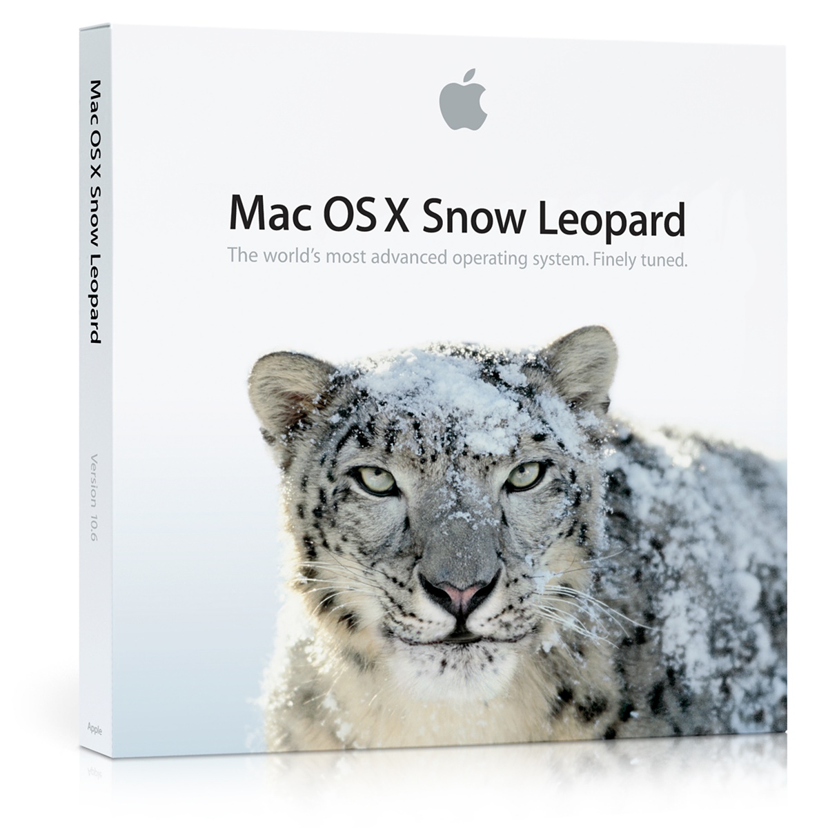 snow_leopard_1.jpeg