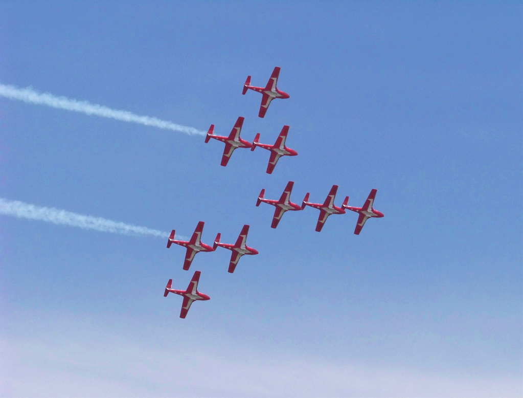 snowbird3.jpg