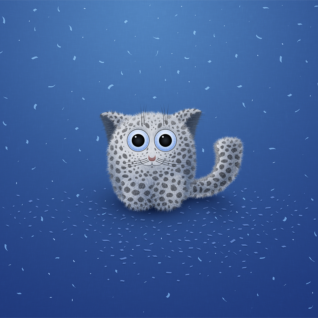 SnowLeopard-iPad.jpg