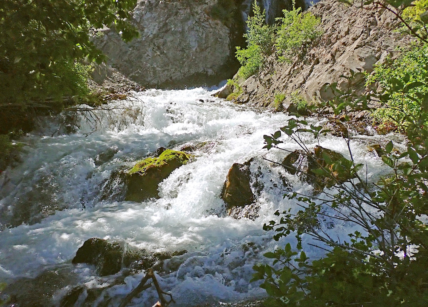 Source_o348.jpg