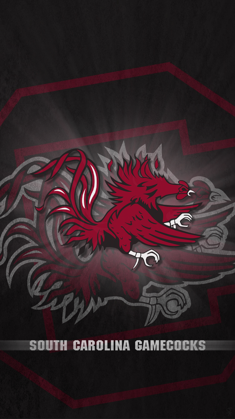 South Carolina Gamecocks.png