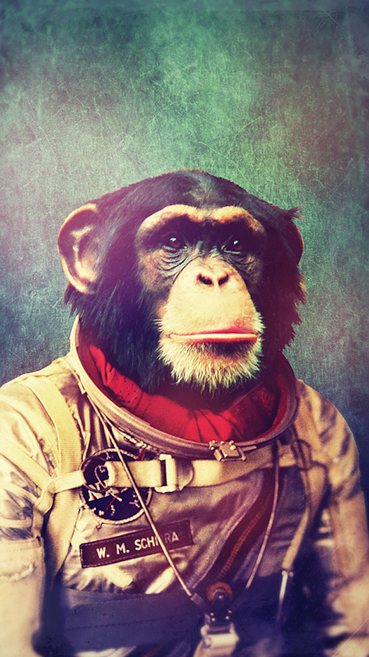 Space Chimp 02.png