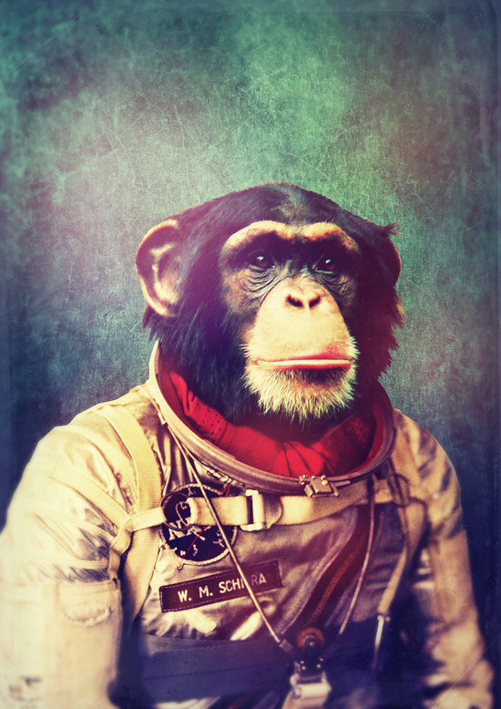 SPACE CHIMP.jpg