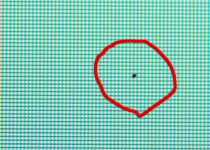 speck_left_side.jpg