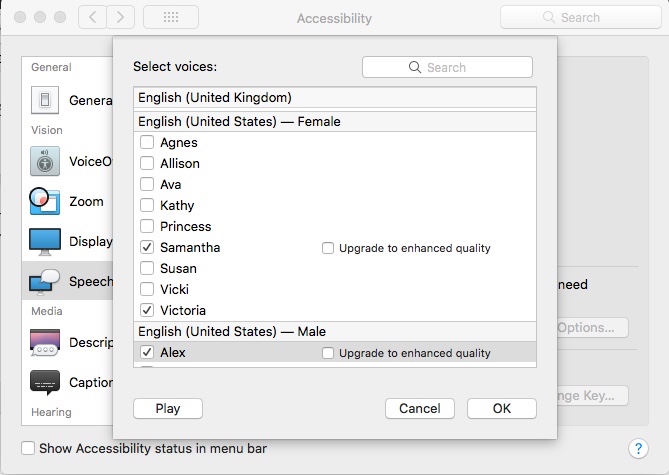 speech download config.jpeg