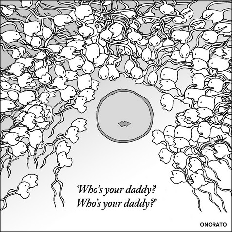 sperm-cartoon.jpg