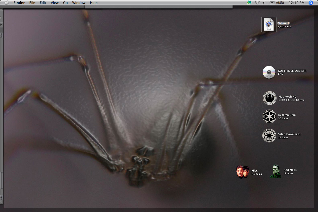 spider1.jpg
