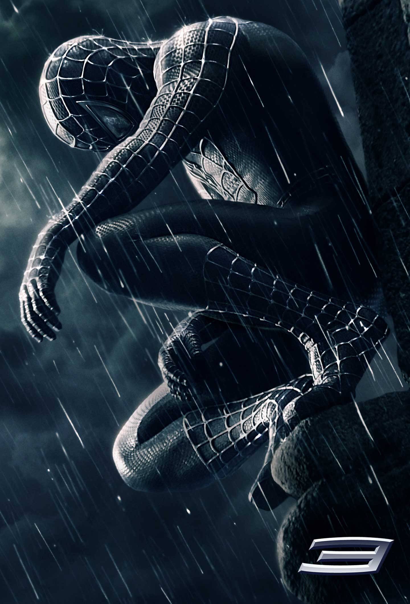 spidey3web.jpg