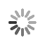 spinner.gif