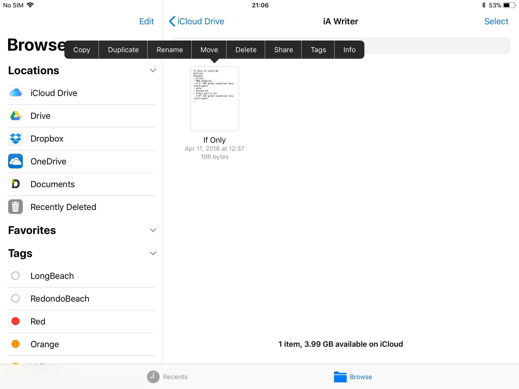 SS iPad Files.jpg