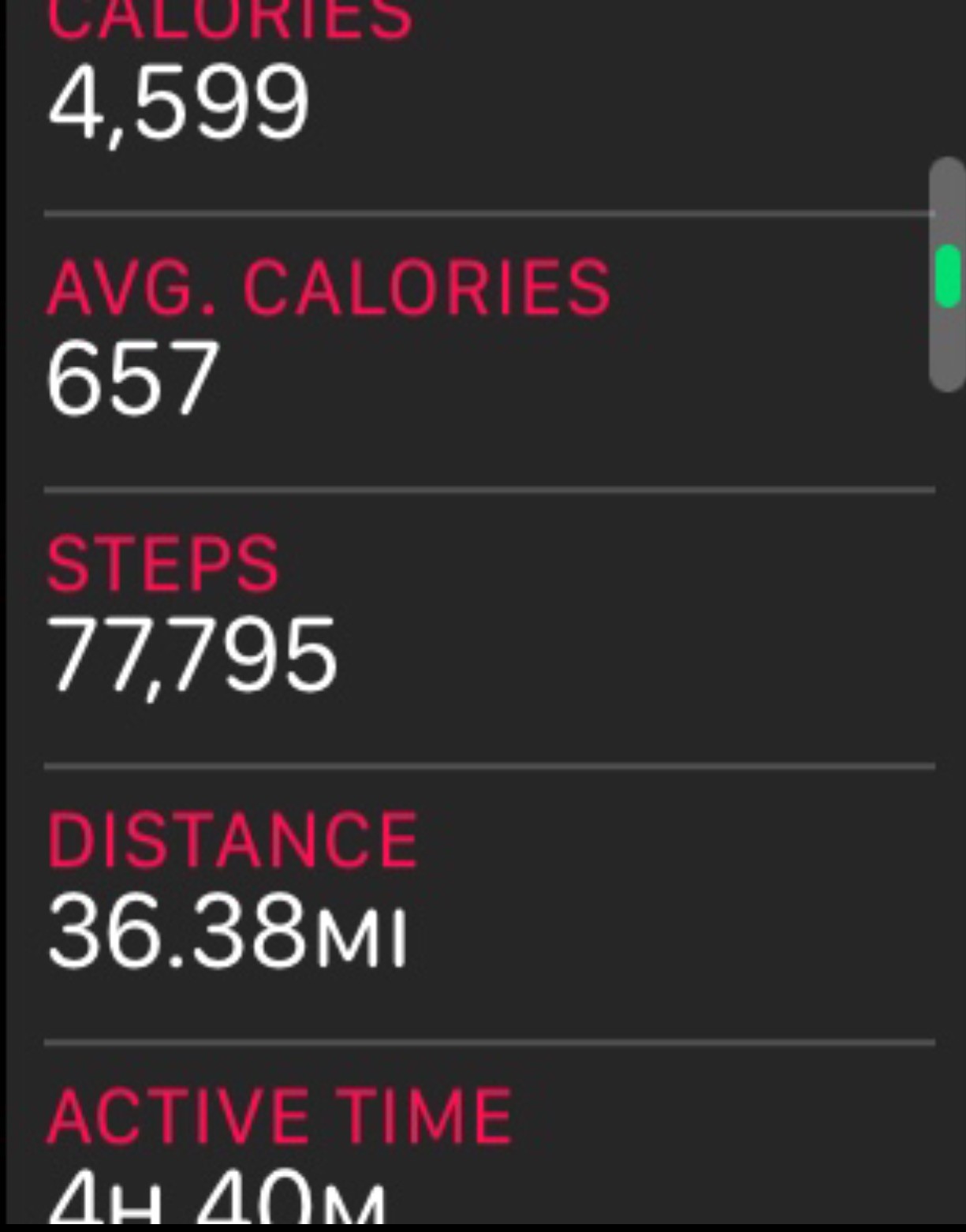 steps.jpg