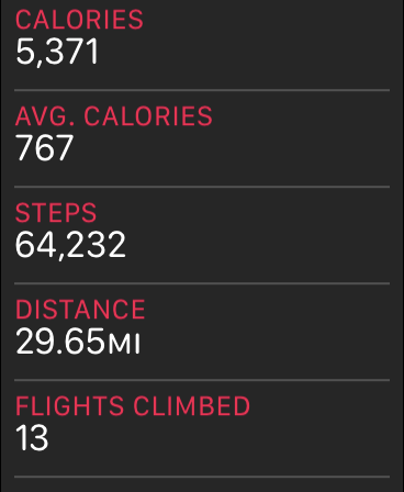 steps.PNG