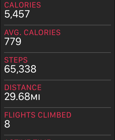 steps.PNG