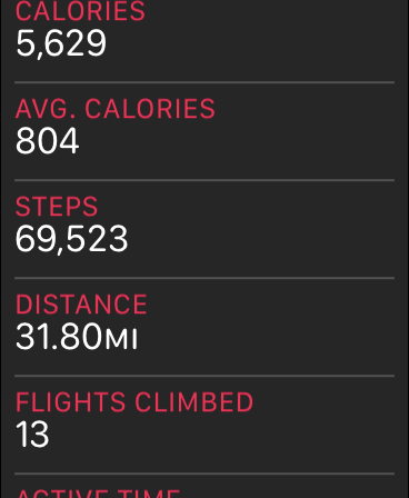 steps.PNG