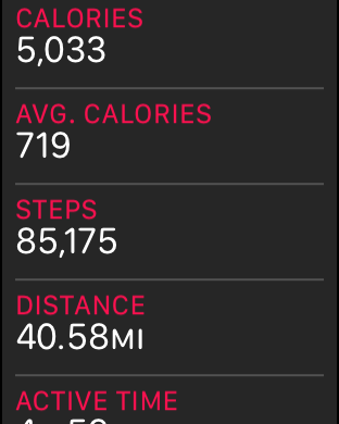 STEPS.png