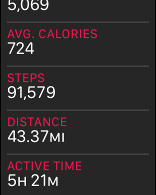 steps.PNG