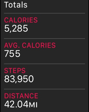 STEPS.png
