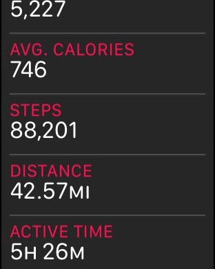 STEPS.png