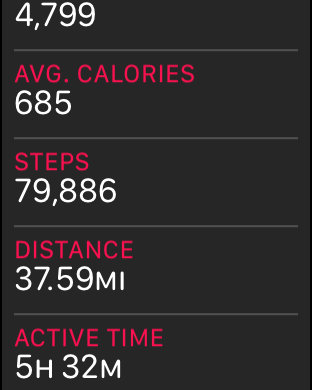 STEPS.png