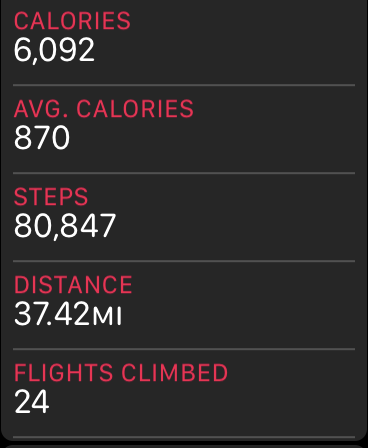 STEPS.PNG