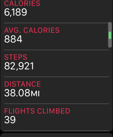 steps.PNG