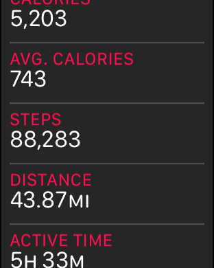 steps.png