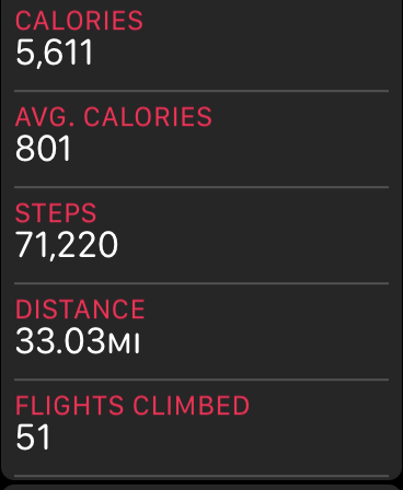 steps.PNG
