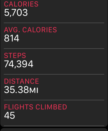 steps.PNG
