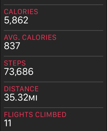 steps.PNG