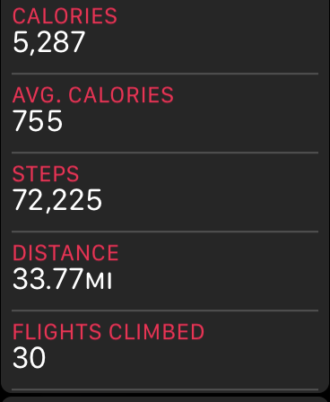 steps.PNG