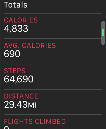steps.PNG