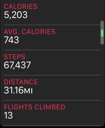 steps.PNG