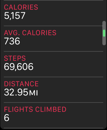steps.PNG