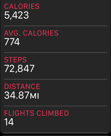 steps.PNG
