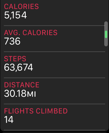 steps.PNG