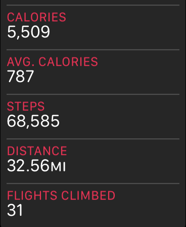 steps.PNG