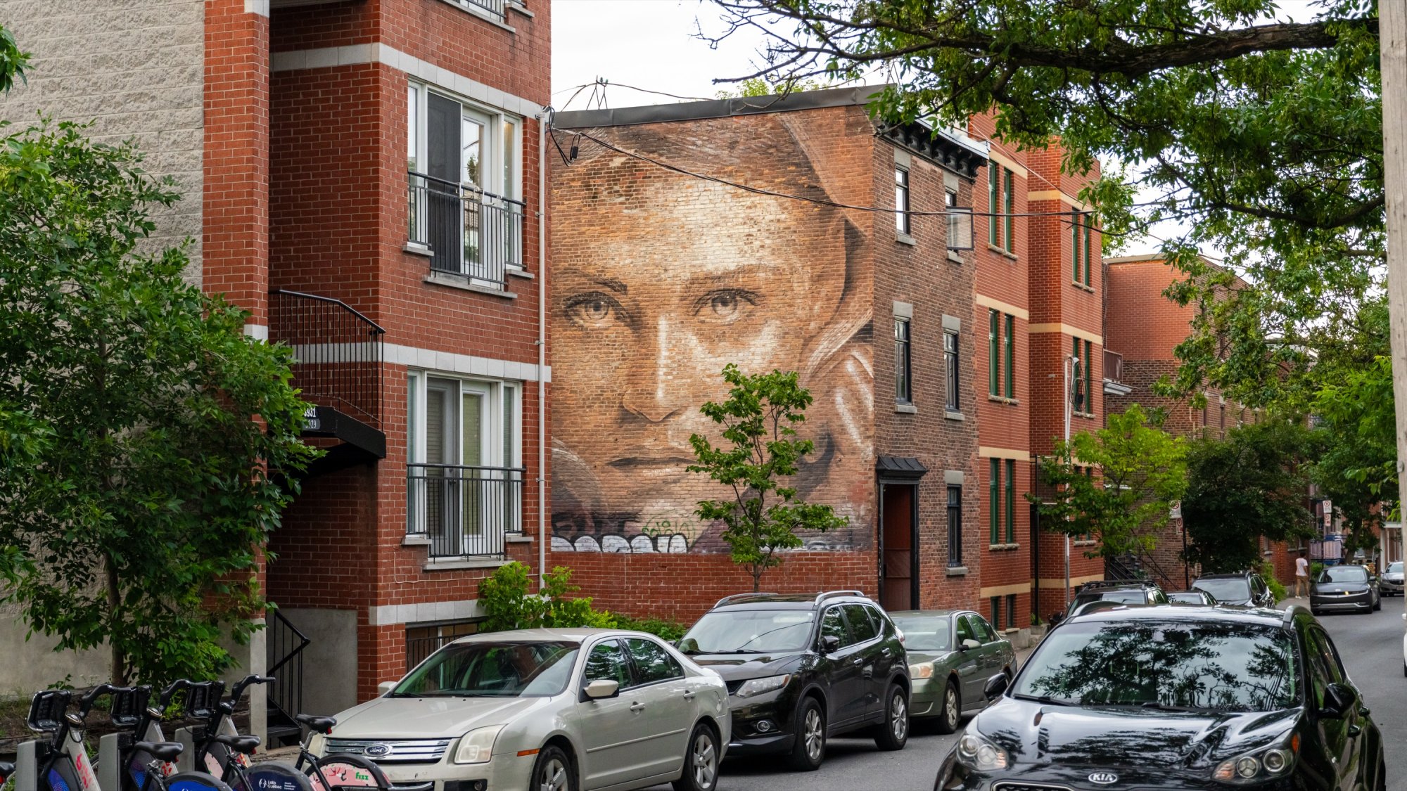 Street.jpg