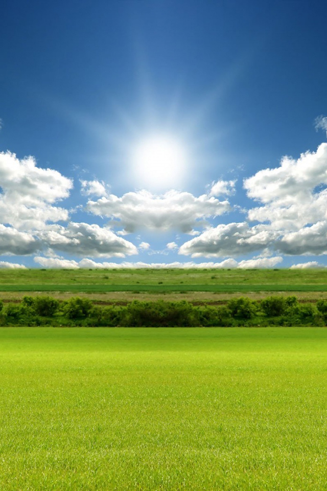 Sun.jpg