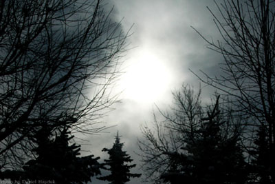 sunbackgroundweb.jpg