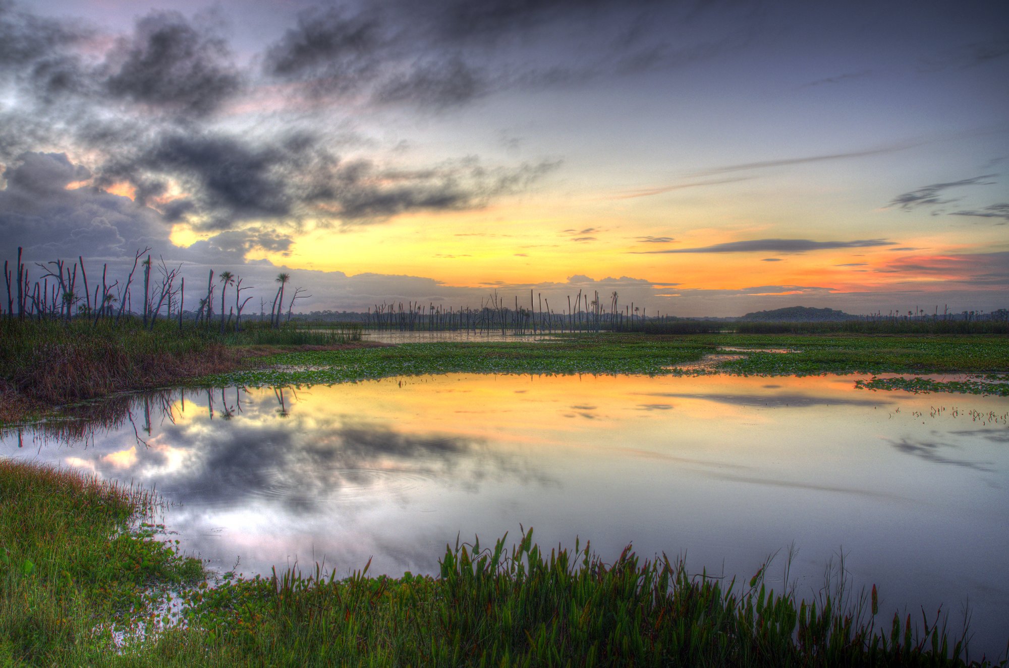 Sunrise 1 - 2500px.jpg