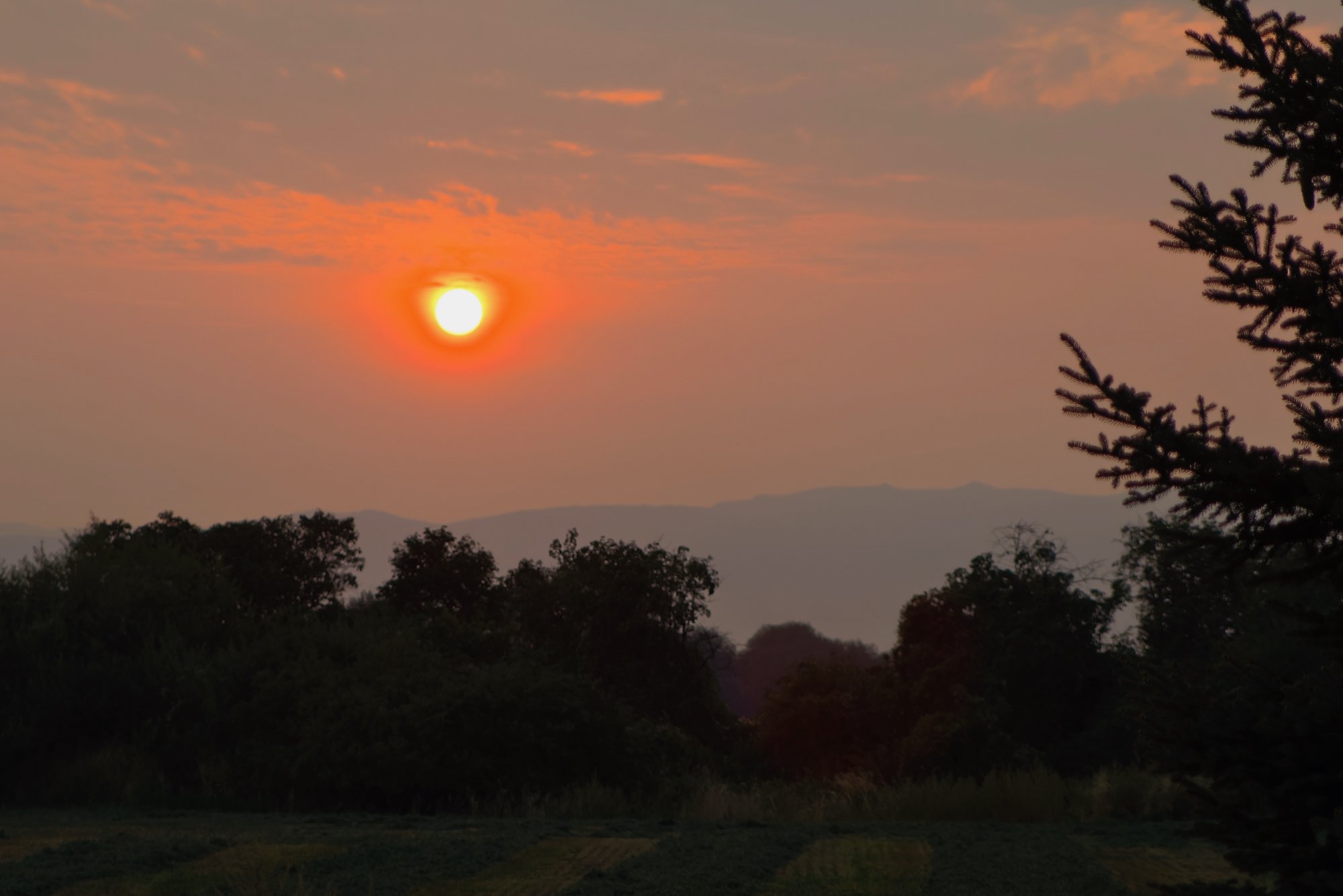 sunrise1 - 1.jpeg