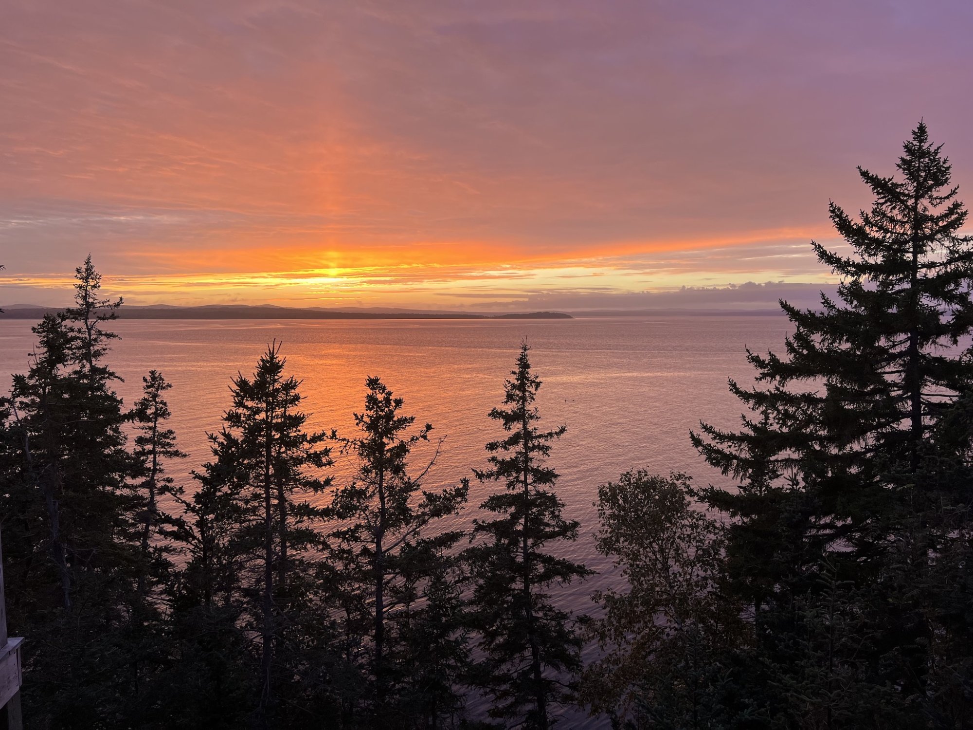 sunset 13 pro.jpeg